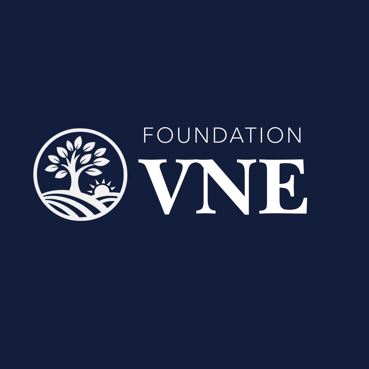 Foundation VNE